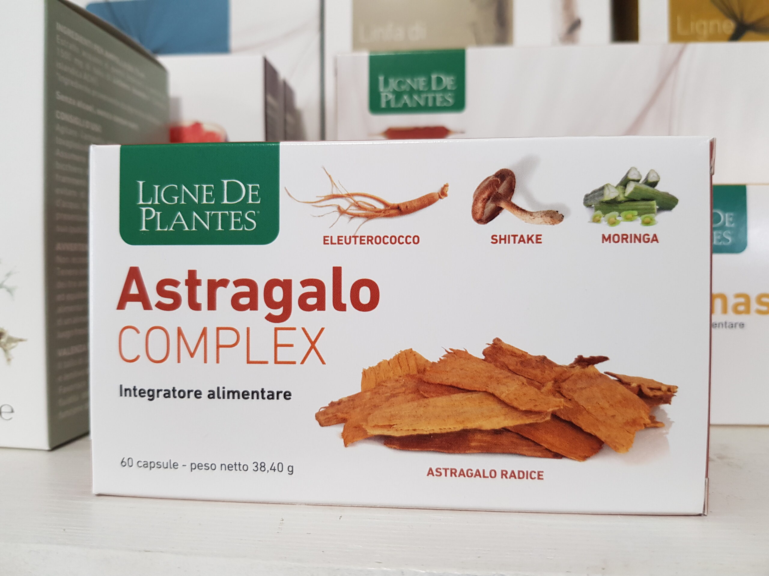 Astragalo complex capsule – Ligne de Plantes