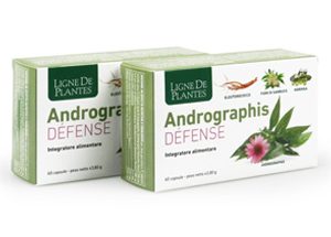 Andrographis Défense capsule – Ligne de Plantes