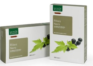 Ribes Nero BIO – Ligne de Plantes