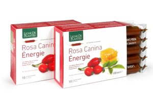 Rosa canina energie – Ligne de plantes