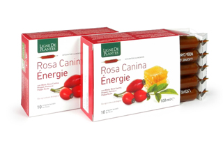 Rosa canina energie – Ligne de plantes